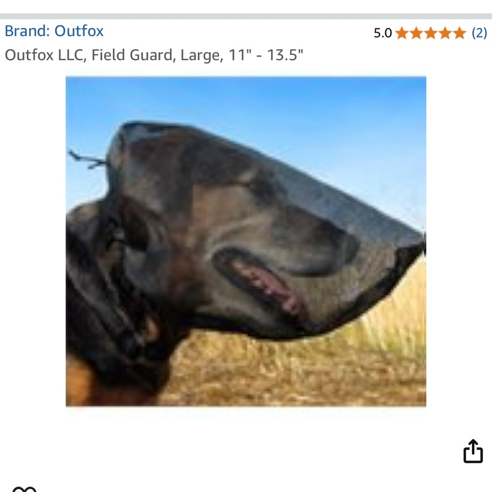 Dog Field Guard - Black Size L (11”-13.5”)